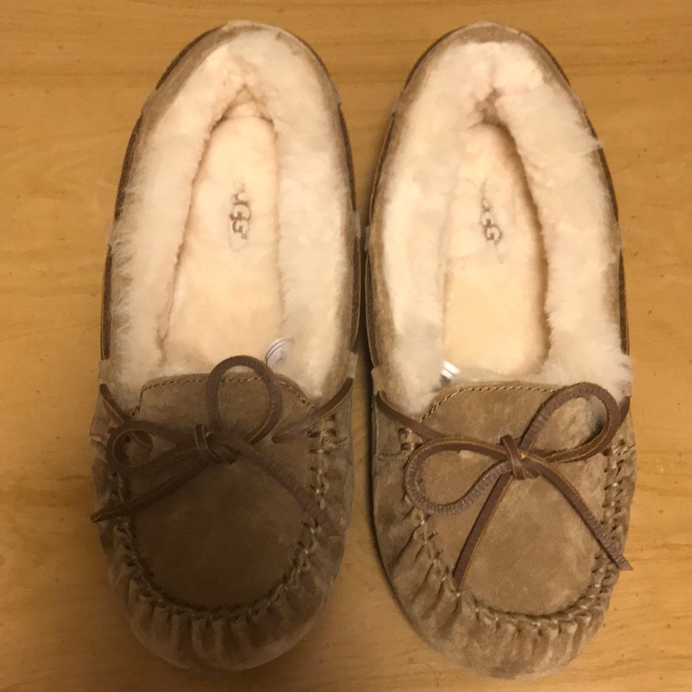 Dakota UGG Slippers
